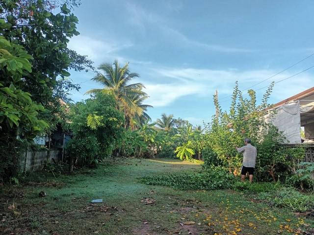 ที่ดิน 5980000 นครราชสีมา สูงเนิน สูงเนิน