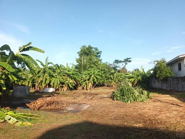 ที่ดิน 5980000 นครราชสีมา สูงเนิน สูงเนิน