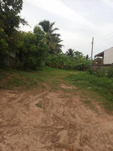 ที่ดิน 5980000 นครราชสีมา สูงเนิน สูงเนิน