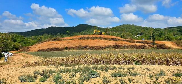 ที่ดิน 1700000 นครราชสีมา ปากช่อง ขนงพระ