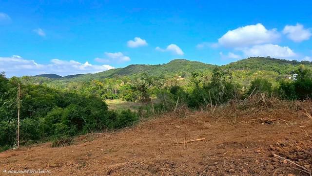 ที่ดิน 1700000 นครราชสีมา ปากช่อง ขนงพระ