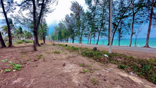 ที่ดิน 800000 ประจวบคีรีขันธ์ บางสะพานน้อย ทรายทอง