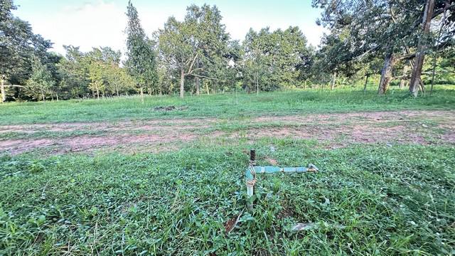 ที่ดิน 800000 ประจวบคีรีขันธ์ บางสะพานน้อย ทรายทอง