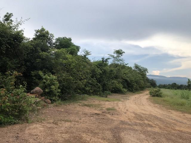 ที่ดิน 300000 ขอนแก่น สีชมพู นาจาน