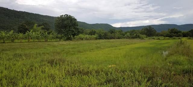 ที่ดิน 300000 ขอนแก่น สีชมพู นาจาน