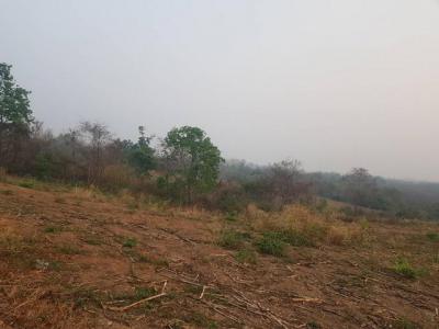 ที่ดิน 250000 เพชรบูรณ์ หล่มเก่า หล่มเก่า