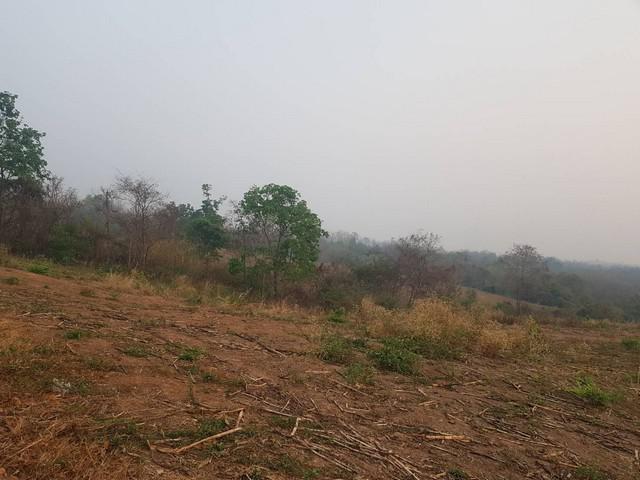 ที่ดิน 250000 เพชรบูรณ์ หล่มเก่า หล่มเก่า