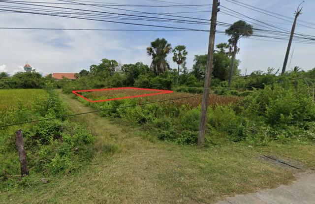 ที่ดิน 600000 สงขลา ระโนด 