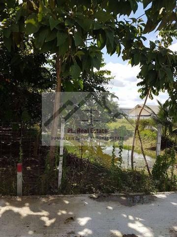 ที่ดิน 30000 กรุงเทพมหานคร เขตตลิ่งชัน ฉิมพลี