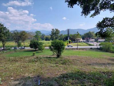 ที่ดิน 1600000 เชียงใหม่ กิ่งอำเภอแม่ออน 