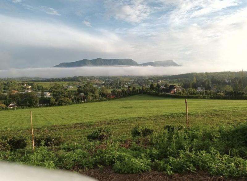 อาคารพาณิชย์ 50000000 เพชรบูรณ์ เขาค้อ ริมสีม่วง