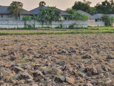 ที่ดิน 1850000 ฉะเชิงเทรา แปลงยาว หัวสำโรง