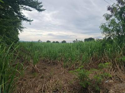 ที่ดิน 2900000 นครราชสีมา ปากช่อง วังไทร