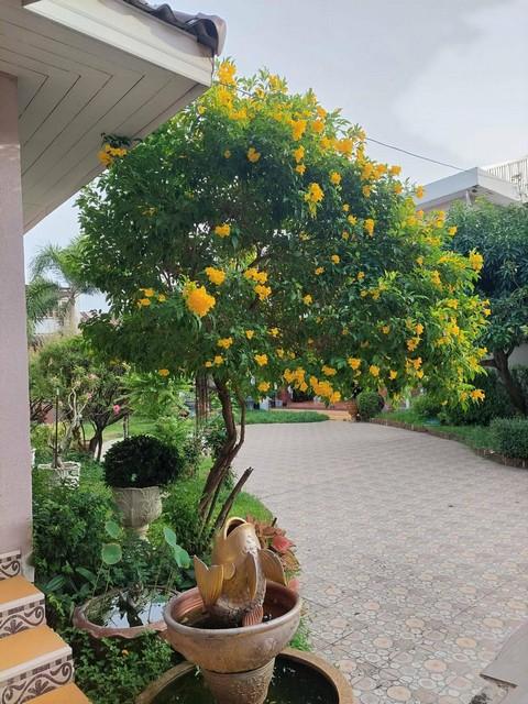 ที่ดิน 125000000 กรุงเทพมหานคร เขตวัฒนา พระโขนงเหนือ