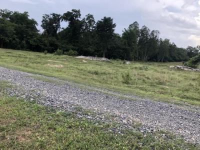 ที่ดิน 300000 ขอนแก่น สีชมพู นาจาน