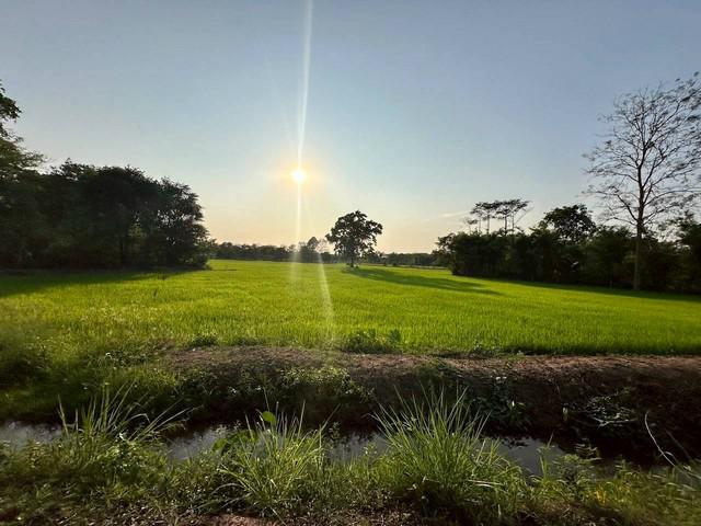 ที่ดิน 3000000 ขอนแก่น เมืองขอนแก่น บึงเนียม