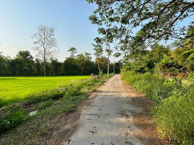 ที่ดิน 3000000 ขอนแก่น เมืองขอนแก่น บึงเนียม