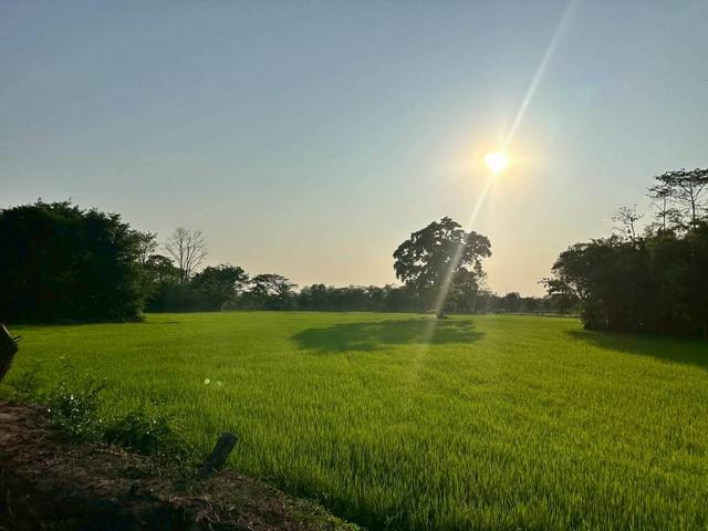 ที่ดิน 3000000 ขอนแก่น เมืองขอนแก่น บึงเนียม