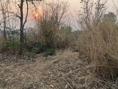 ที่ดิน 250000 เพชรบูรณ์ หล่มเก่า หล่มเก่า