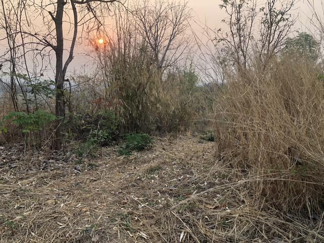 ที่ดิน 250000 เพชรบูรณ์ หล่มเก่า หล่มเก่า