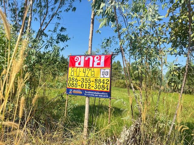 ที่ดิน 40000000 ชลบุรี บางละมุง ตะเคียนเตี้ย