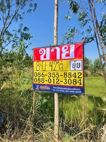 ที่ดิน 40000000 ชลบุรี บางละมุง ตะเคียนเตี้ย