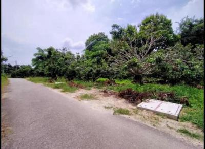 ที่ดิน 1650000 ลำพูน เมืองลำพูน 