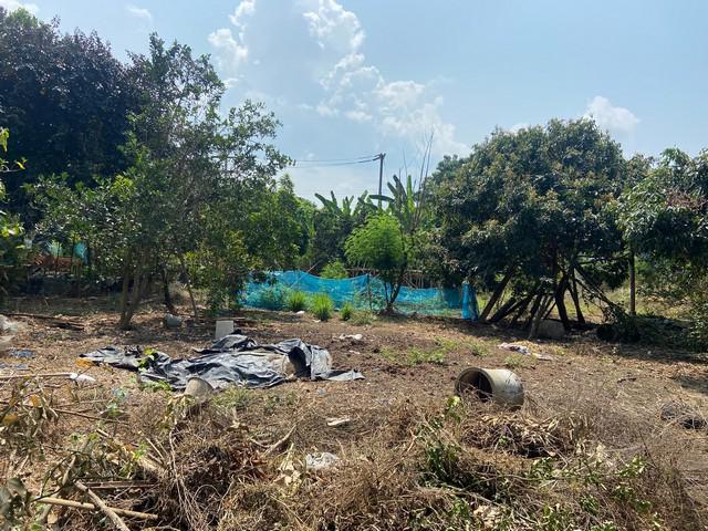 ที่ดิน 1550000 เชียงใหม่ สันกำแพง ร้องวัวแดง