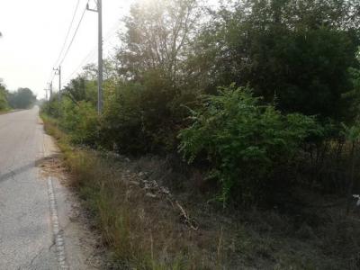 ที่ดิน 300000 ตาก บ้านตาก ตากตก