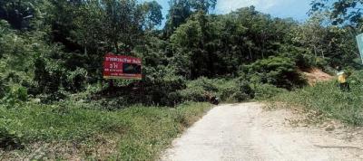 ที่ดิน 8000000 ภูเก็ต กะทู้ กะทู้