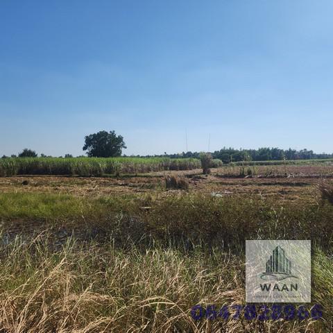 ที่ดิน 94175250 ขอนแก่น อุบลรัตน์ โคกสูง