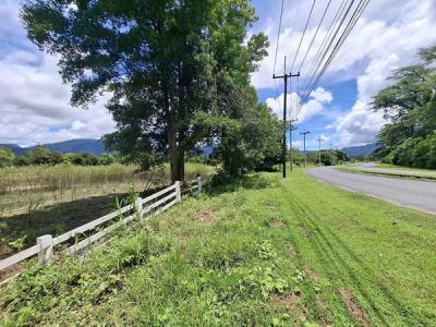 ที่ดิน 4000000 นครนายก เมืองนครนายก สาริกา