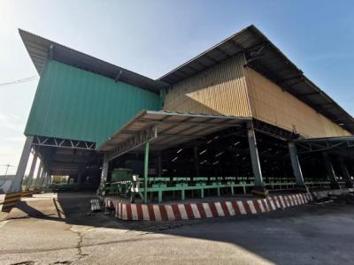 โรงงาน 97560000 ฉะเชิงเทรา  