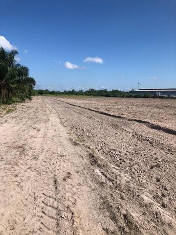 ที่ดิน 1700000 ชลบุรี บ้านบึง คลองกิ่ว