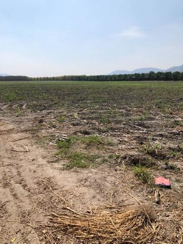 ที่ดิน 1700000 ชลบุรี บ้านบึง คลองกิ่ว