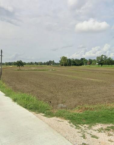 ที่ดิน 1400000 อุทัยธานี ทัพทัน หนองกลางดง