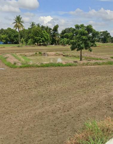 ที่ดิน 1400000 อุทัยธานี ทัพทัน หนองกลางดง