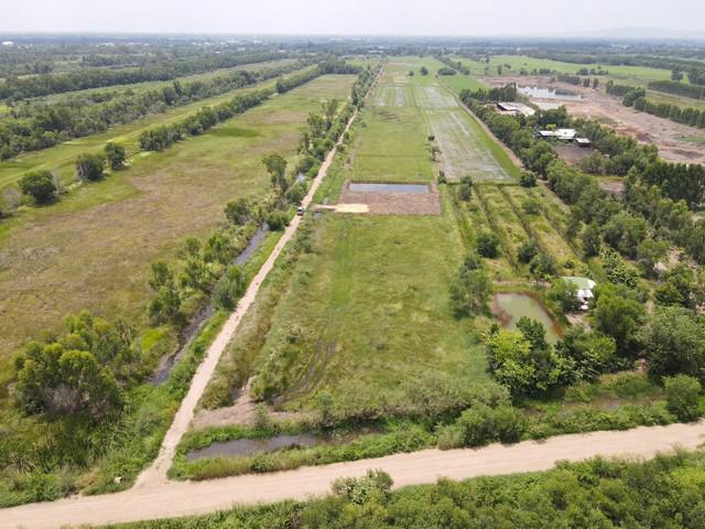 ที่ดิน 690000 สระบุรี วิหารแดง หนองหมู