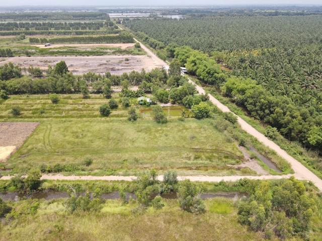 ที่ดิน 690000 สระบุรี วิหารแดง หนองหมู