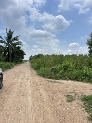 ที่ดิน 690000 สระบุรี วิหารแดง หนองหมู