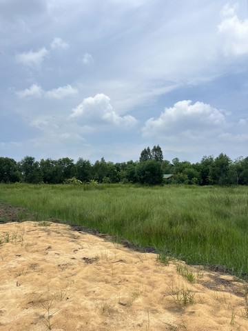 ที่ดิน 690000 สระบุรี วิหารแดง หนองหมู