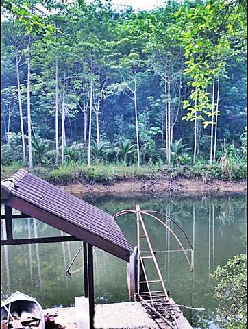 ที่ดิน 29000000 จันทบุรี มะขาม อ่างคีรี