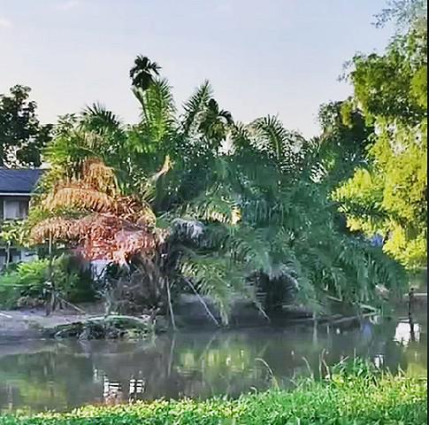 ที่ดิน 3285200 นครนายก องครักษ์ องครักษ์