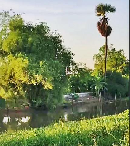 ที่ดิน 3285200 นครนายก องครักษ์ องครักษ์