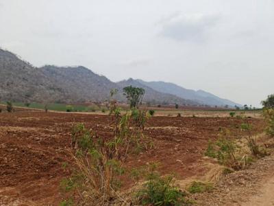 ที่ดิน 300000 นครสวรรค์ เมืองนครสวรรค์ พระนอน