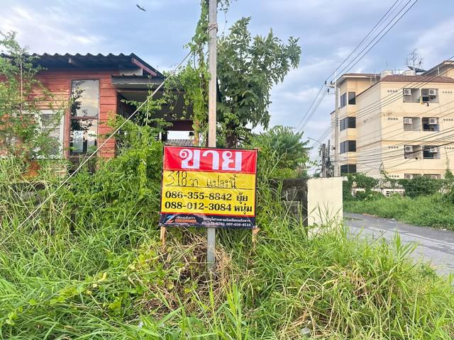 ที่ดิน 11448000 กรุงเทพมหานคร เขตลาดกระบัง คลองสามประเวศ