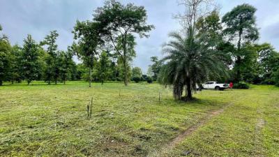 ที่ดิน 12000000 เชียงใหม่ แม่แตง อินทขิล