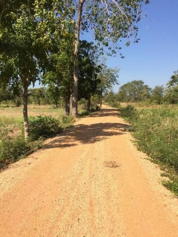ที่ดิน 1100000 ชัยภูมิ เมืองชัยภูมิ รอบเมือง