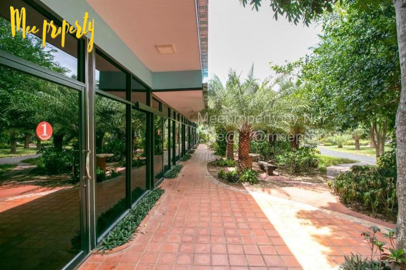 ที่ดิน 19000000 นครราชสีมา ปากช่อง ขนงพระ