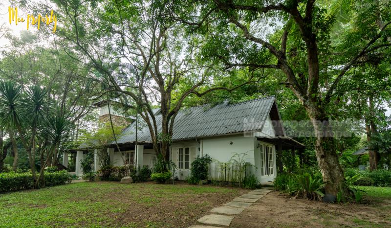 ที่ดิน 40000000 สระบุรี แก่งคอย ชะอม